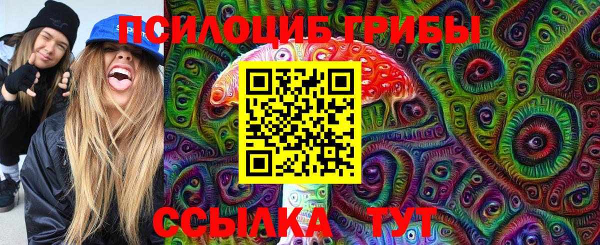 Галлюциногенные грибы GOLDEN TEACHER  Вход с VPN  Галлюциногенные грибы прущие грибы  Кириши 